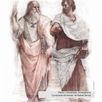 Igualdad y división de poderes. Principios fundamentales de la Constitución